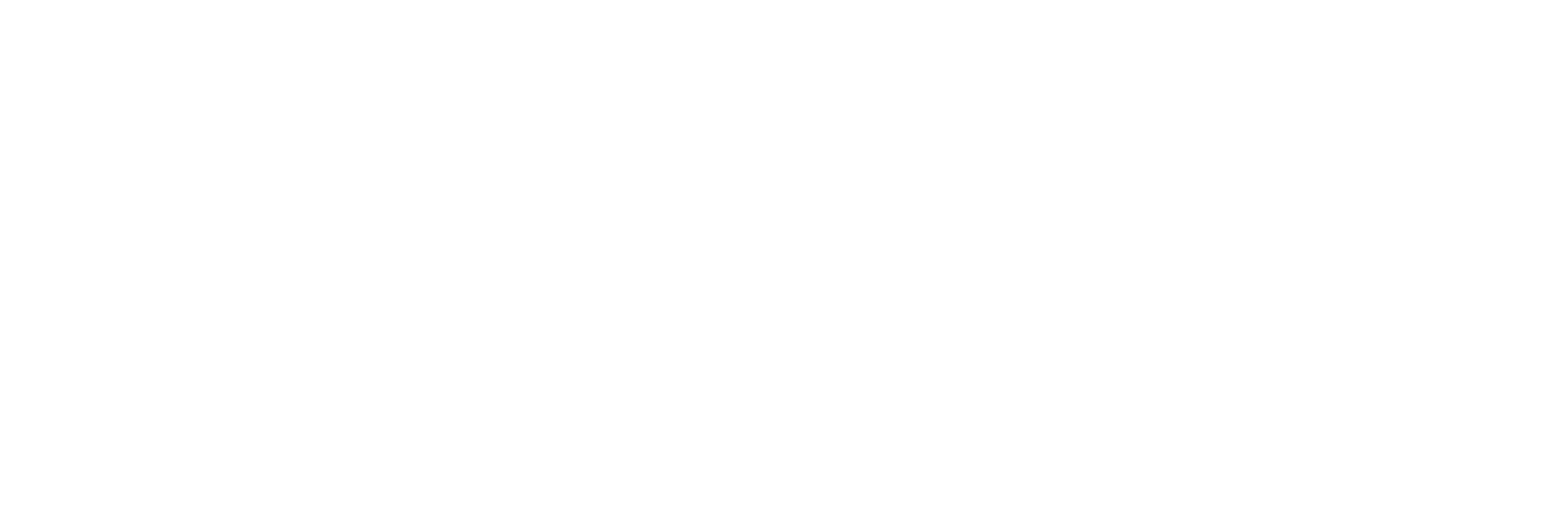 Social Impact, weiße Variante