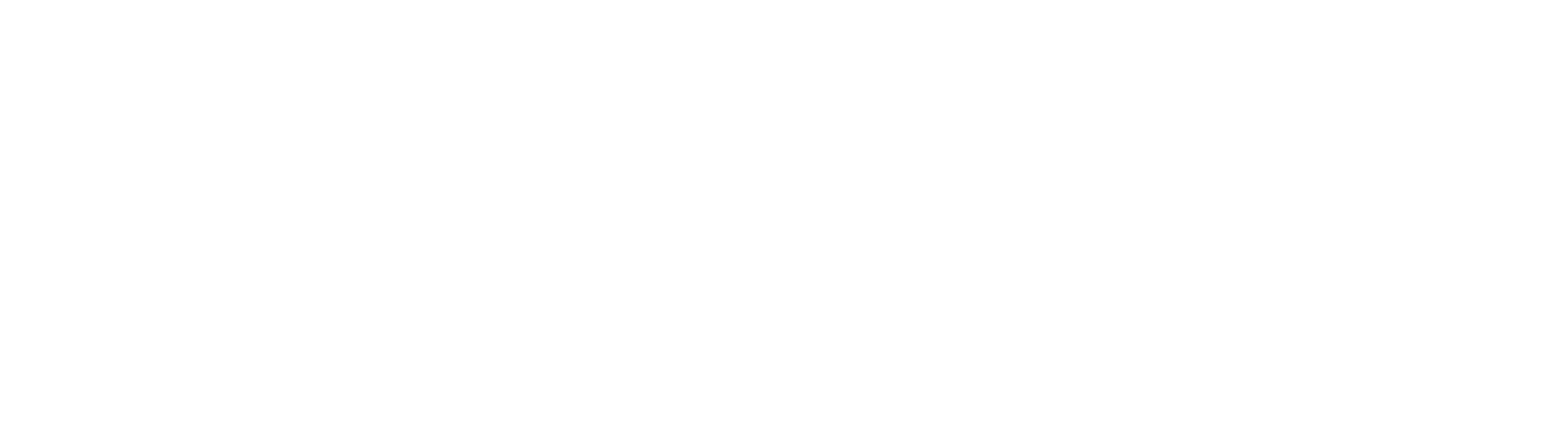 Train the Trainer, weiße Variante